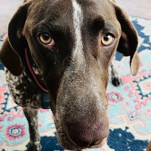 Meet your Posher, Kay